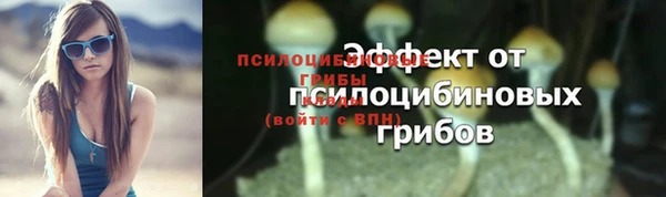 а пвп мука Снежногорск